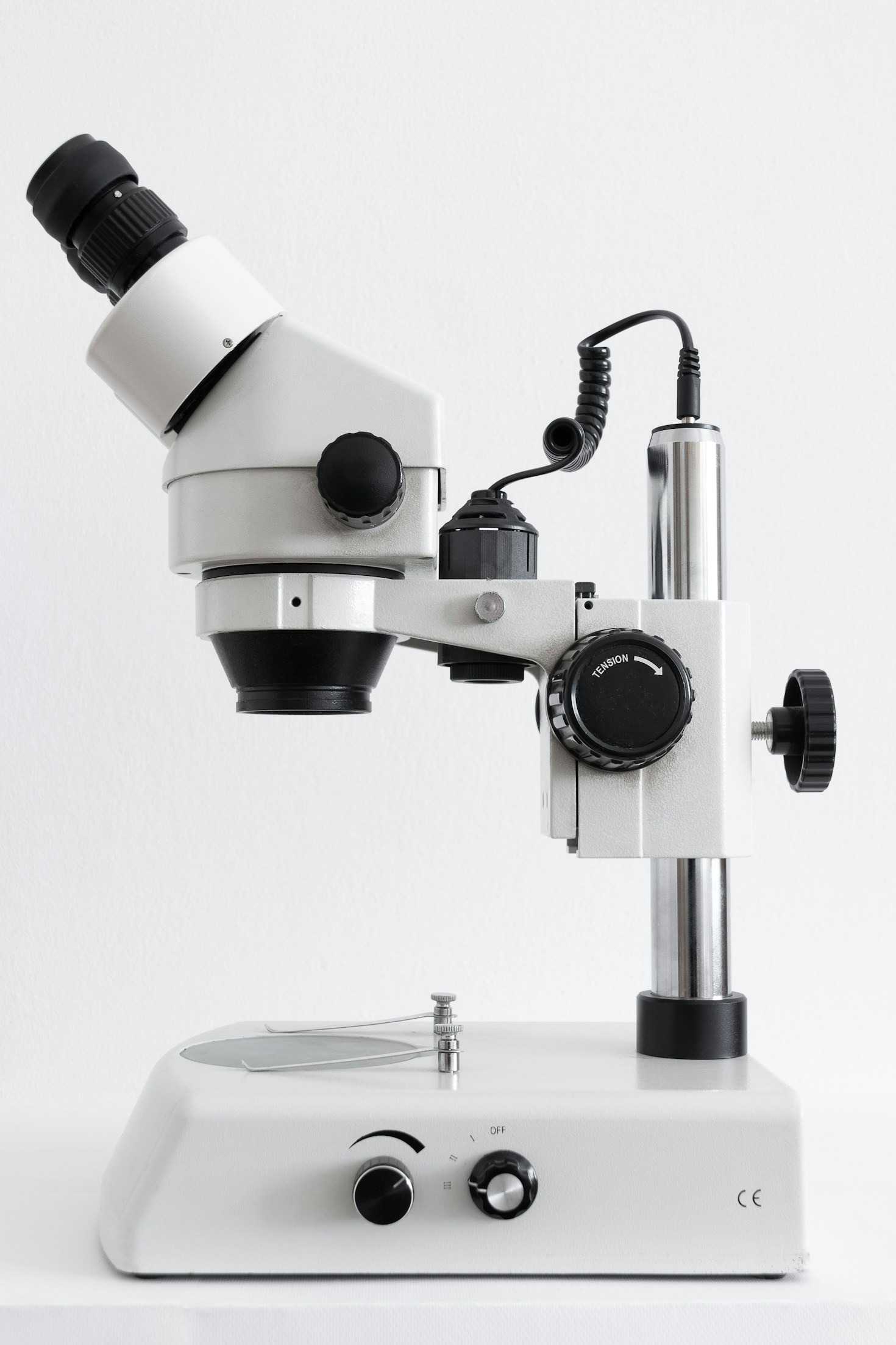 Top Myths About Virus Variants Debunked