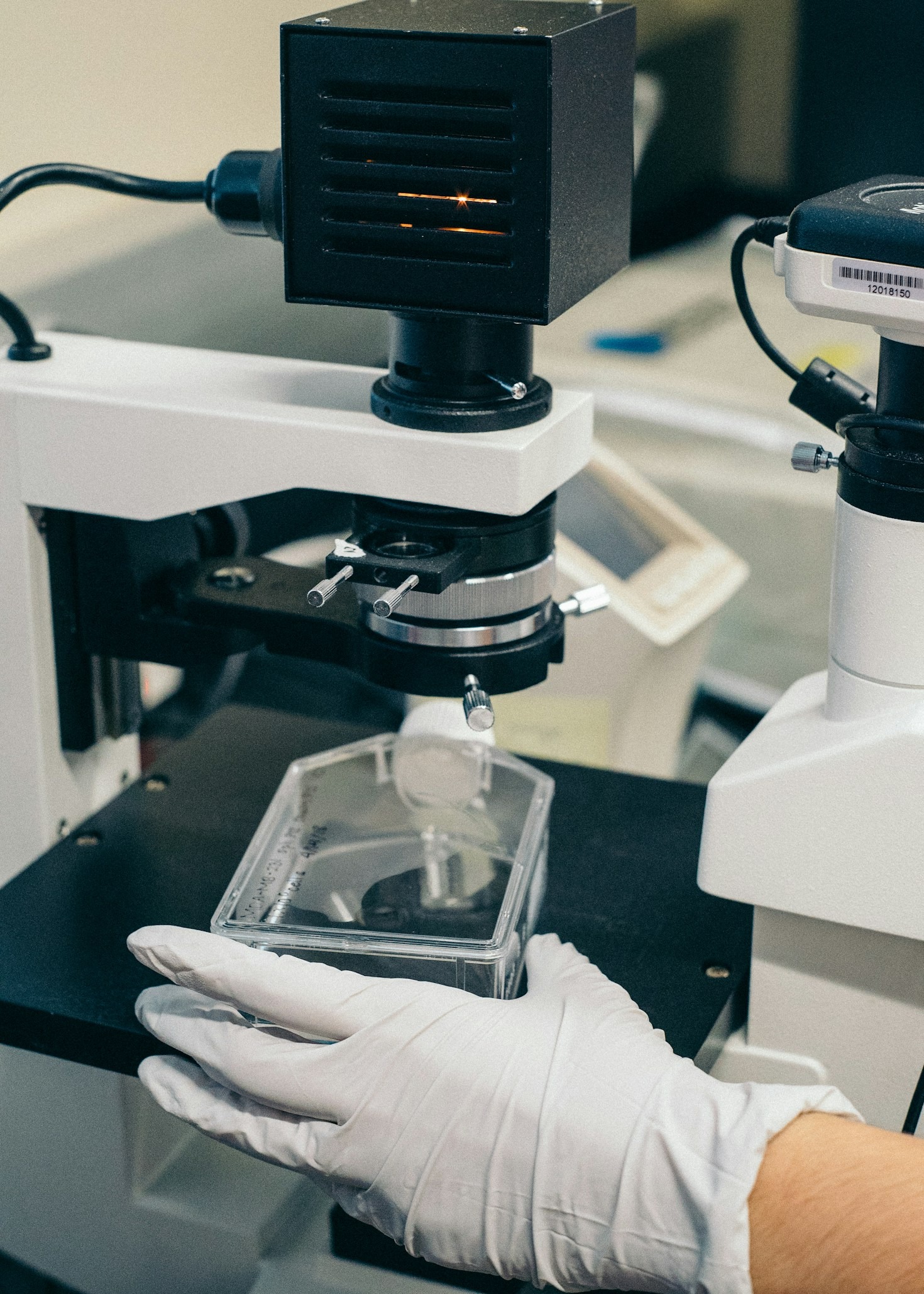 Global Response to New Virus Strains